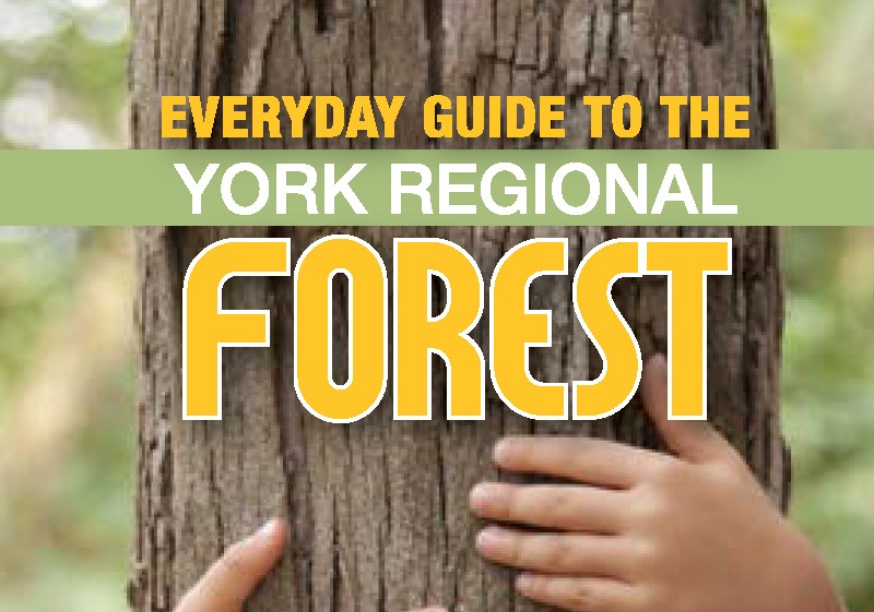 York Regional Forect Guide Link